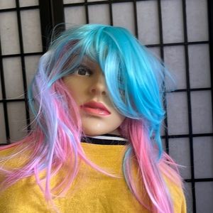 Agptek Shoulder Length Rainbow Wig